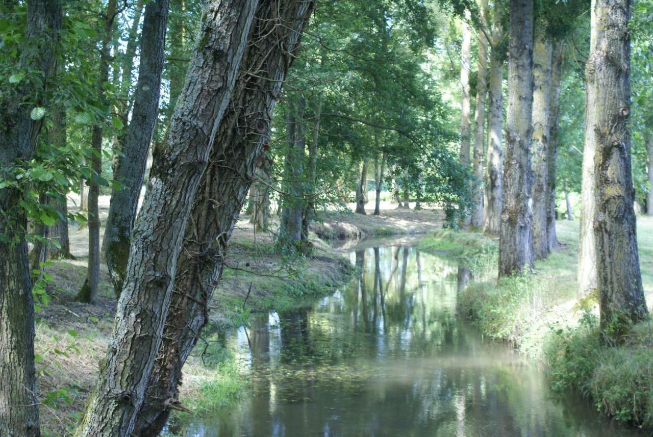 לינה וארוחת בוקר Moulin De Champrond -Montmirail -Sarthe מראה חיצוני תמונה
