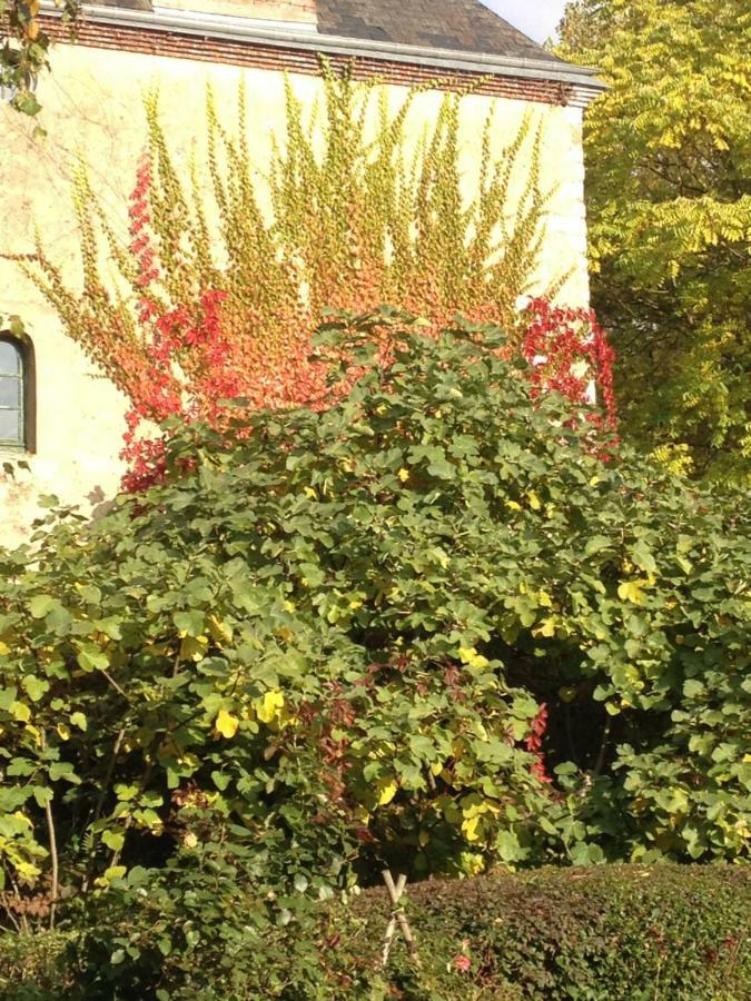 לינה וארוחת בוקר Moulin De Champrond -Montmirail -Sarthe מראה חיצוני תמונה