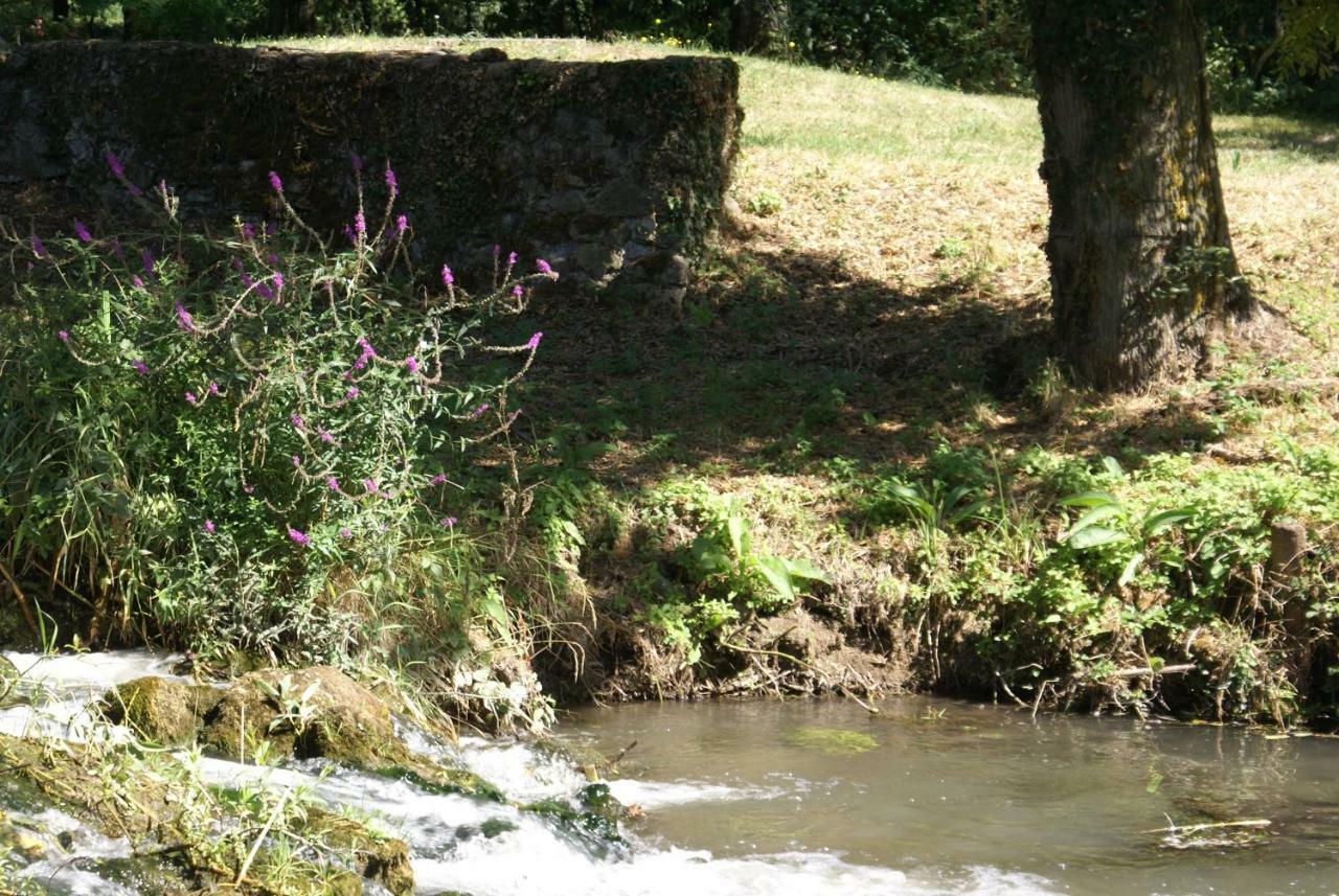 לינה וארוחת בוקר Moulin De Champrond -Montmirail -Sarthe מראה חיצוני תמונה